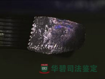 檢材斷口顯微鏡圖片